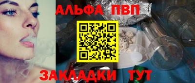 шишки Тара