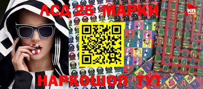 шишки Тара