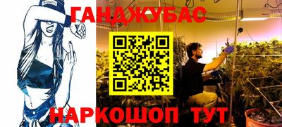 шишки Тара