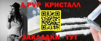 шишки Тара